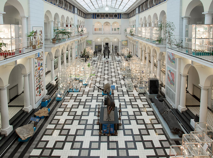 Muzeum_geologiczne