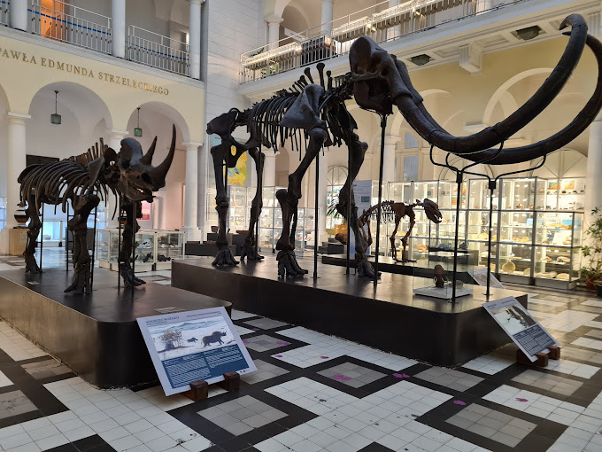 Muzeum_geologiczne2