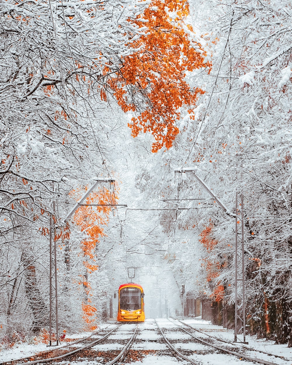 Фотографии Варшавы
