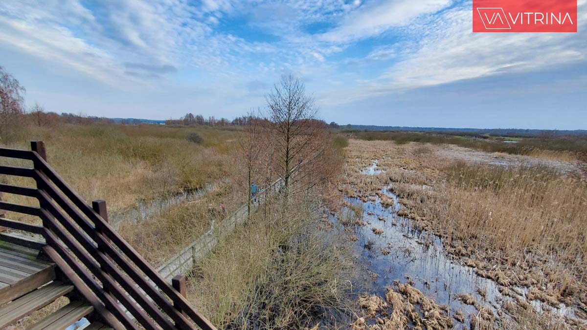 живописное место для прогулок на природе под Варшавой: Bagno Całowanie