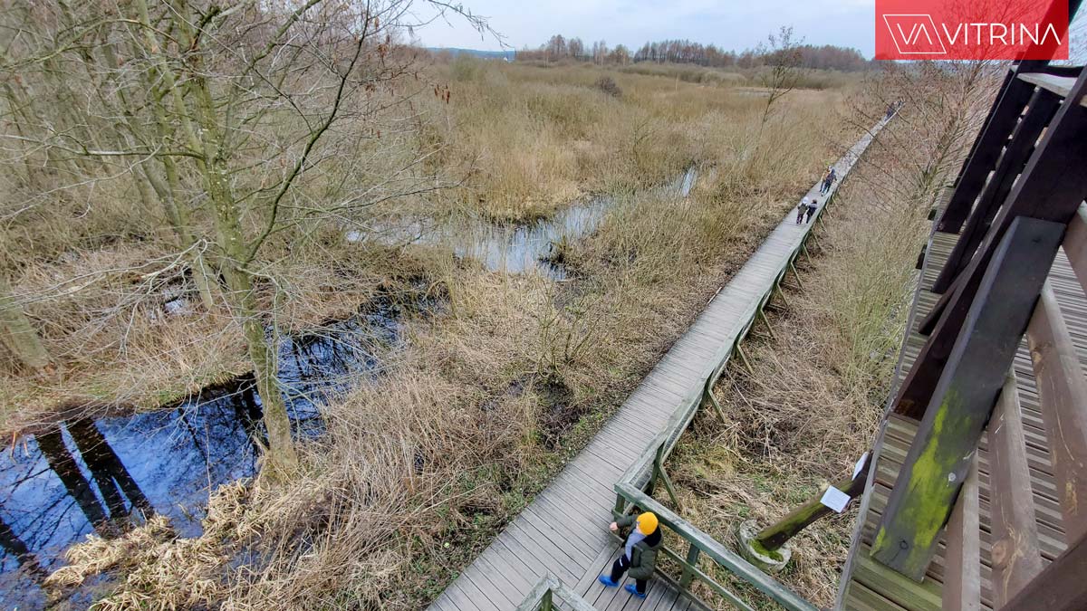 живописное место для прогулок на природе под Варшавой: Bagno Całowanie