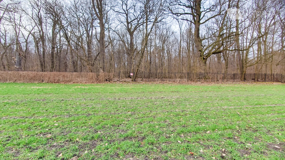 Park Natolinski в Варшаве