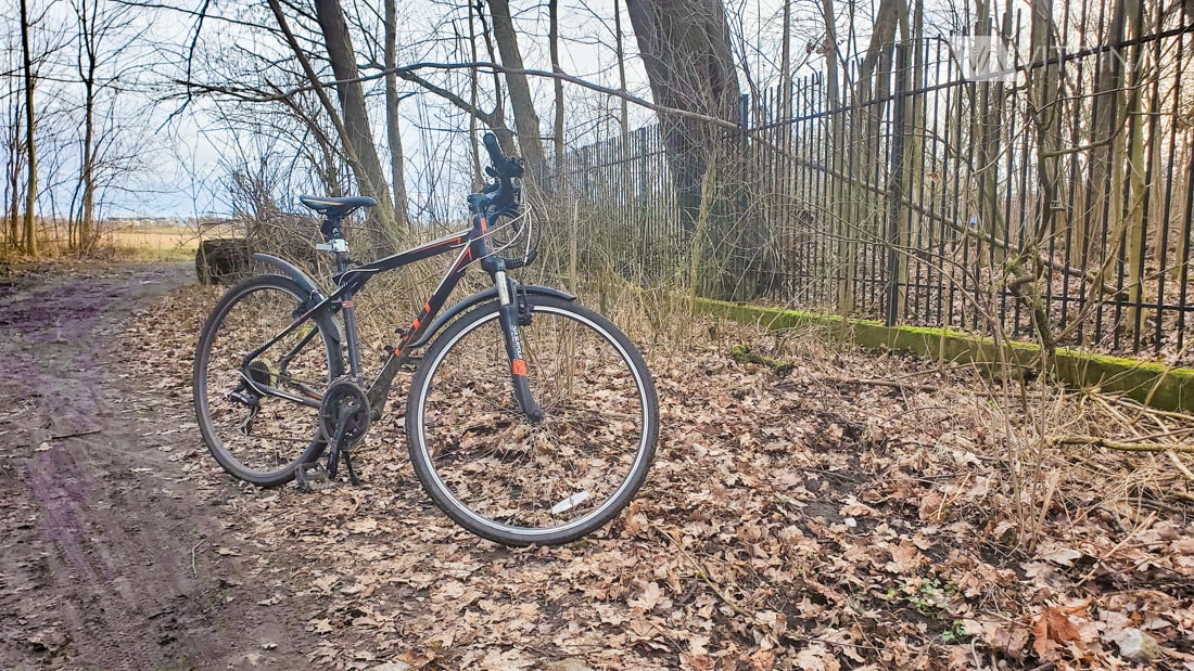 Park Natolinski в Варшаве