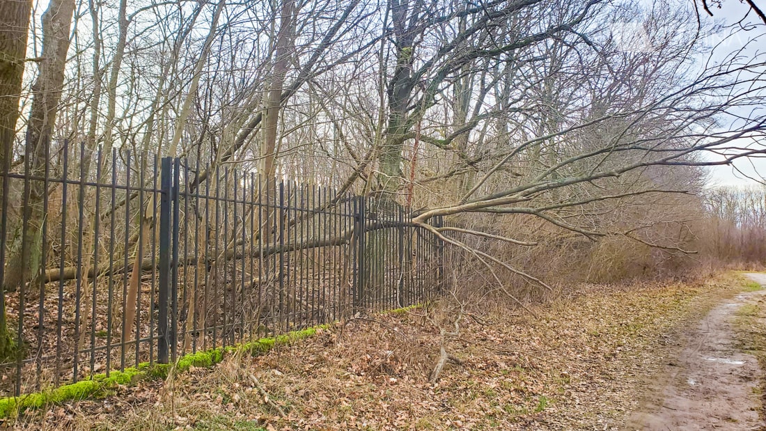 Park Natolinski в Варшаве