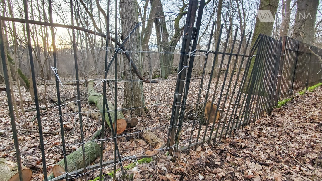 Park Natolinski в Варшаве