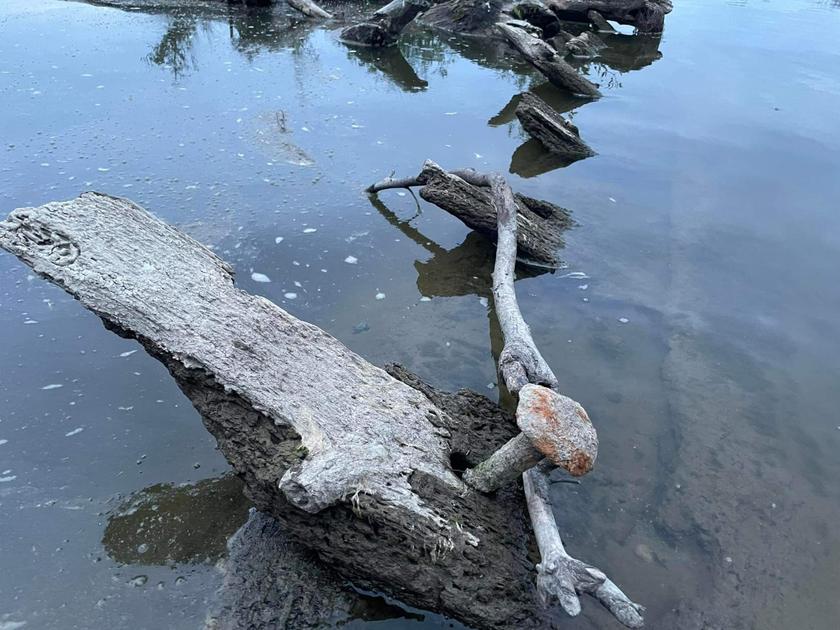 Находа старой лодки в водах Вислы возле Варшавы