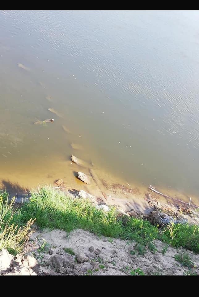 Находа старой лодки в водах Вислы возле Варшавы