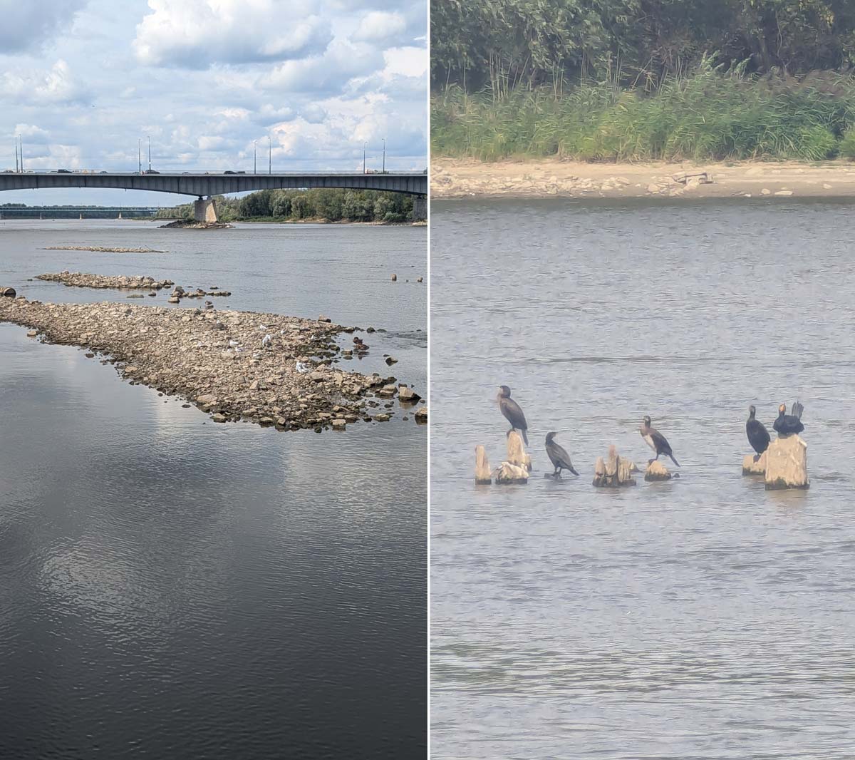 Уровень воды в Висле на уровне Бульваров рекорд