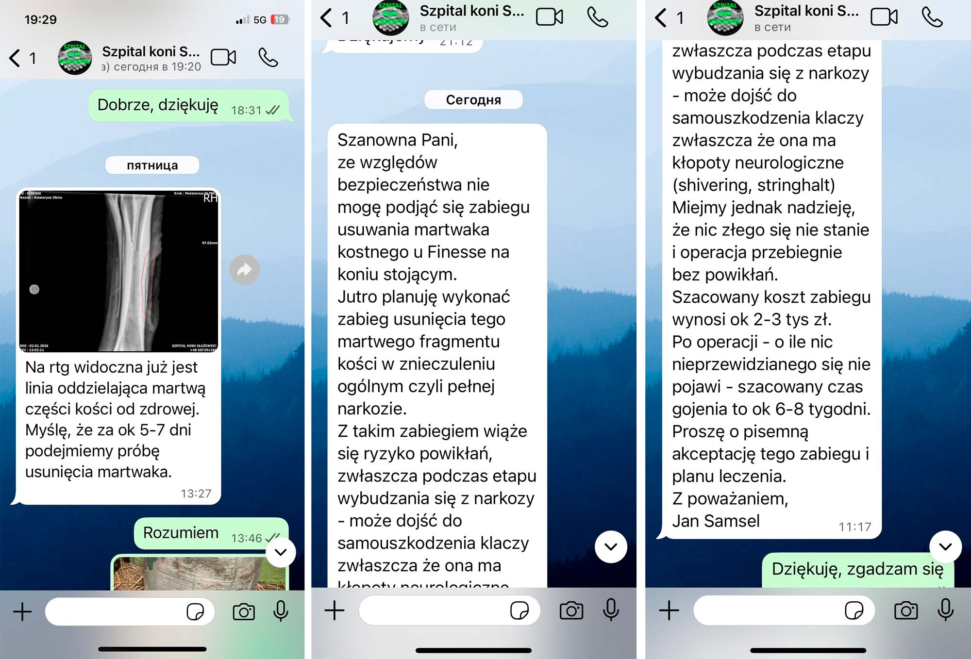 Девушка из Беларуси в Варшаве спасает лошадь