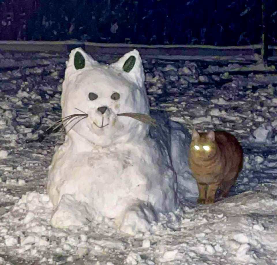 Снеговики в Варшаве