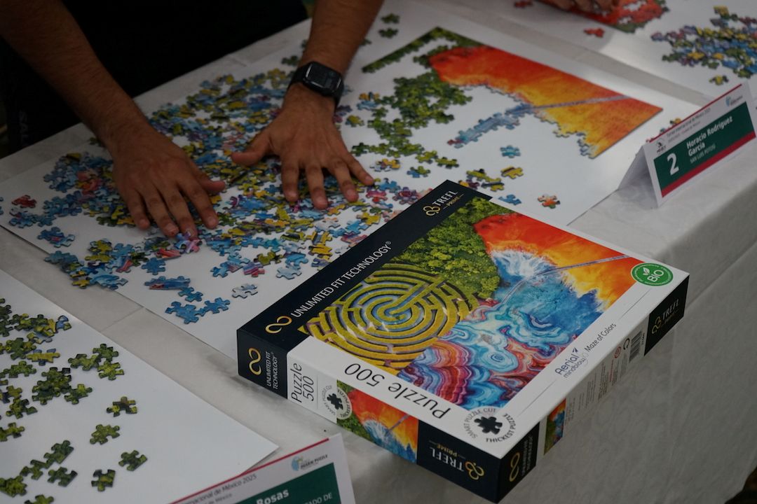 puzzle