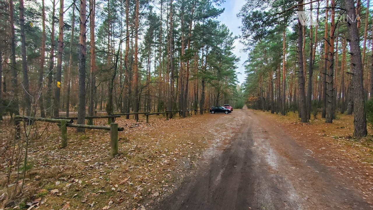 Bunkry Dabrowiecka Gora