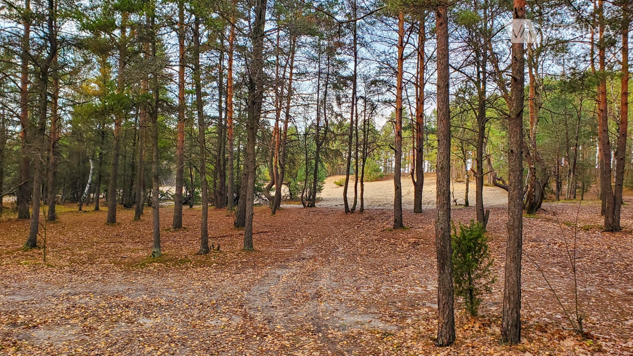 Bunkry Dabrowiecka Gora