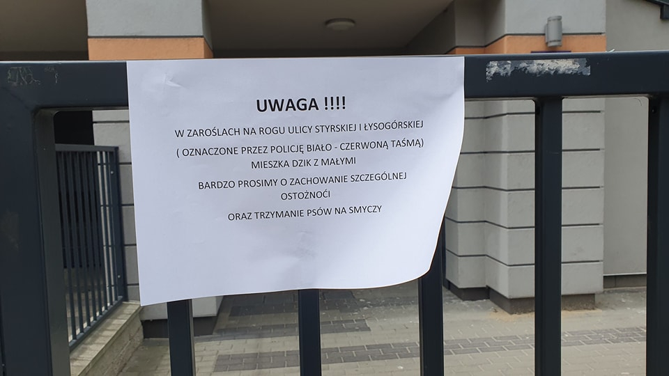 kaban warszawa 1