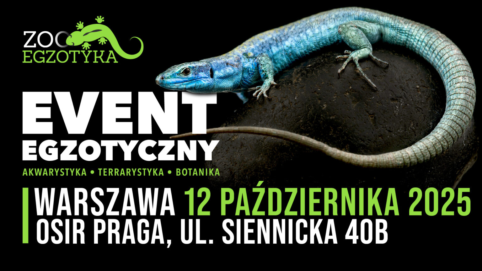 ZooEgzotyka Warszawa