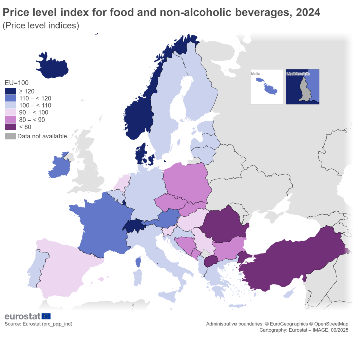 eurostat papierowsy 2024