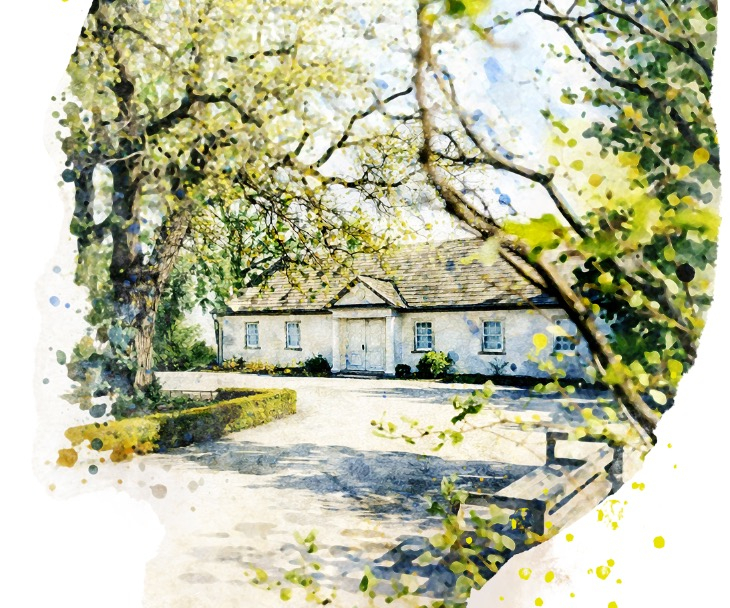 zelazowa wola