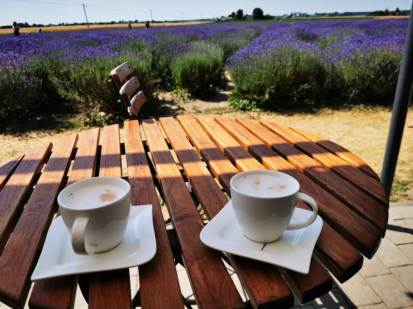 lavendowe zdroje
