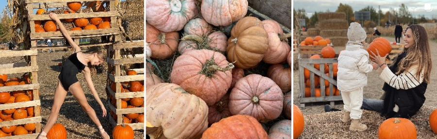 pumpkin girl5
