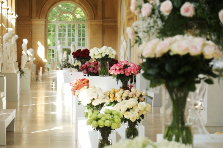 royal rose