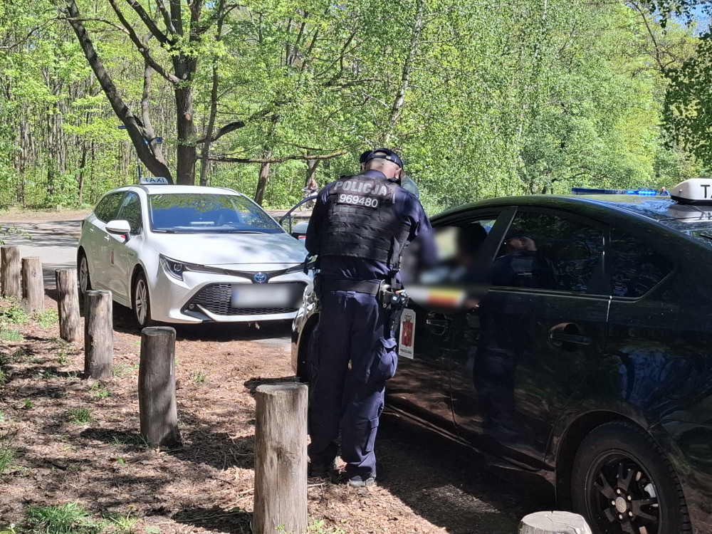 Полиция проверяет отдыхающих в Кабацком лесу