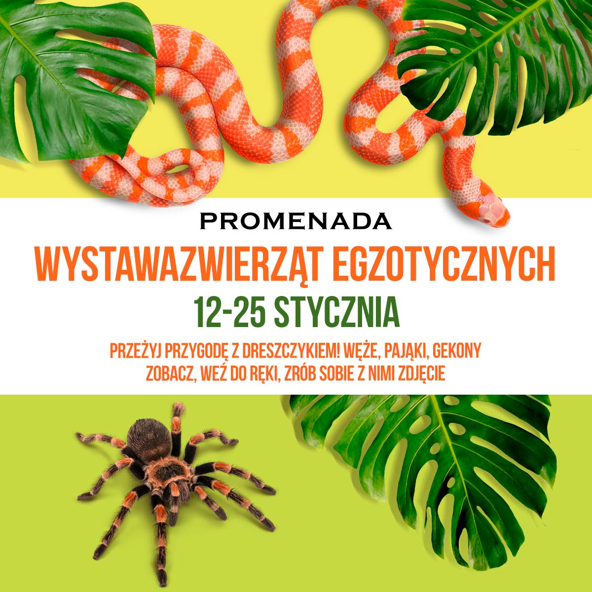 vustavka besplatno afisha