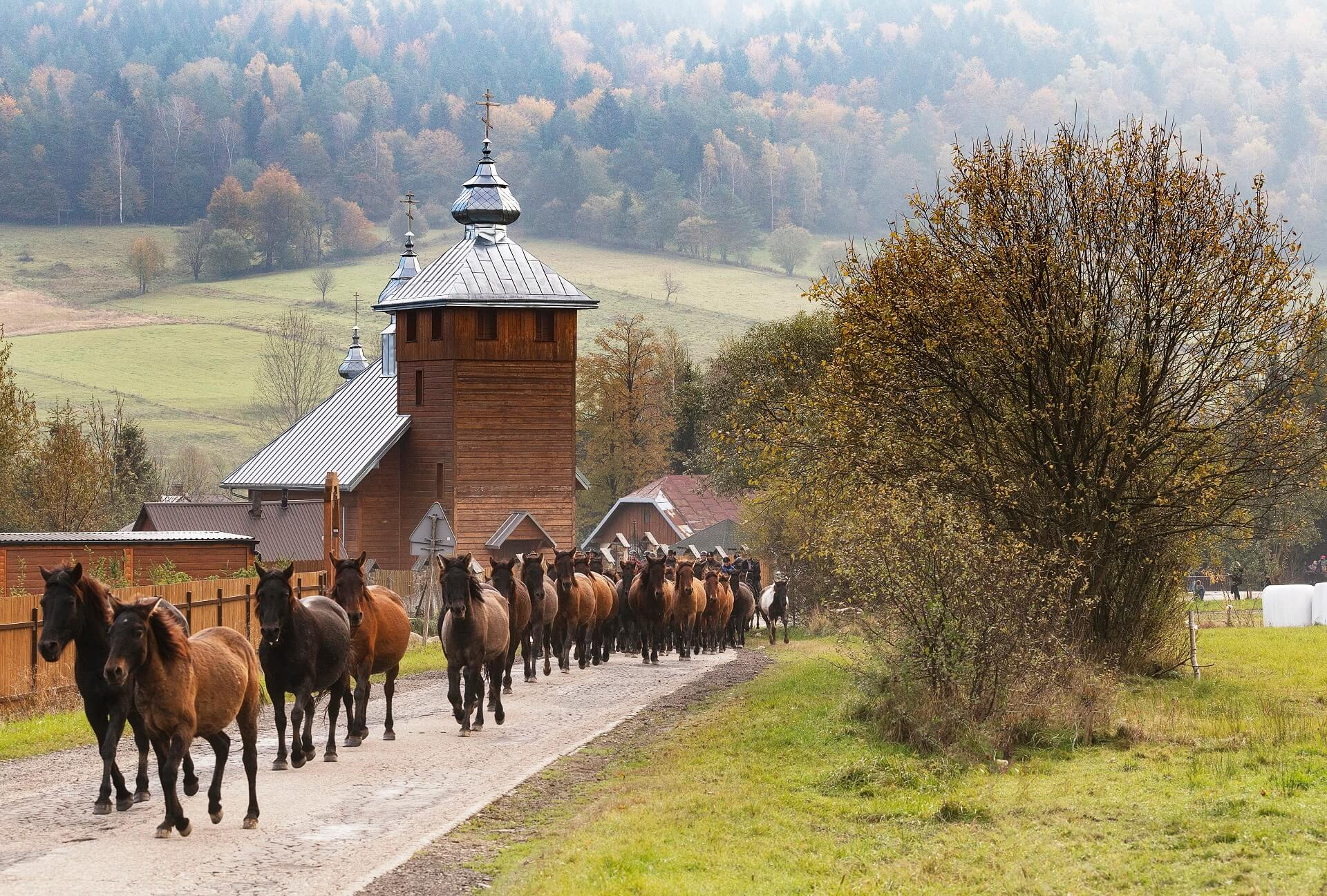 Beskid Niski