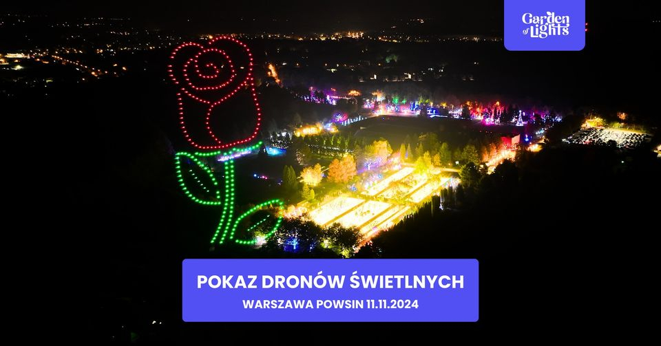 pokaz dronow2