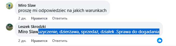 ozierany male 07