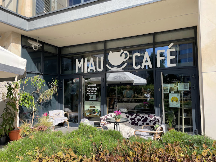 Miau Cafe2