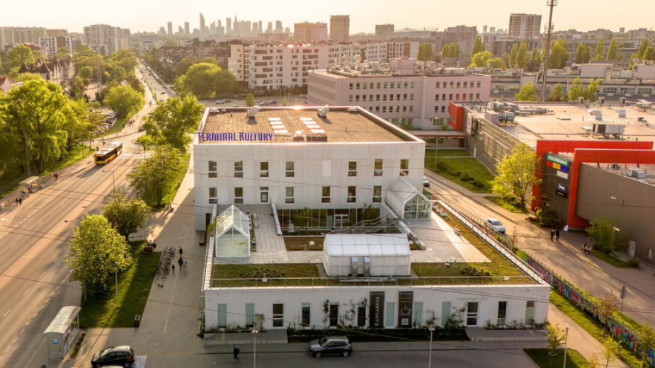 Terminal kultury