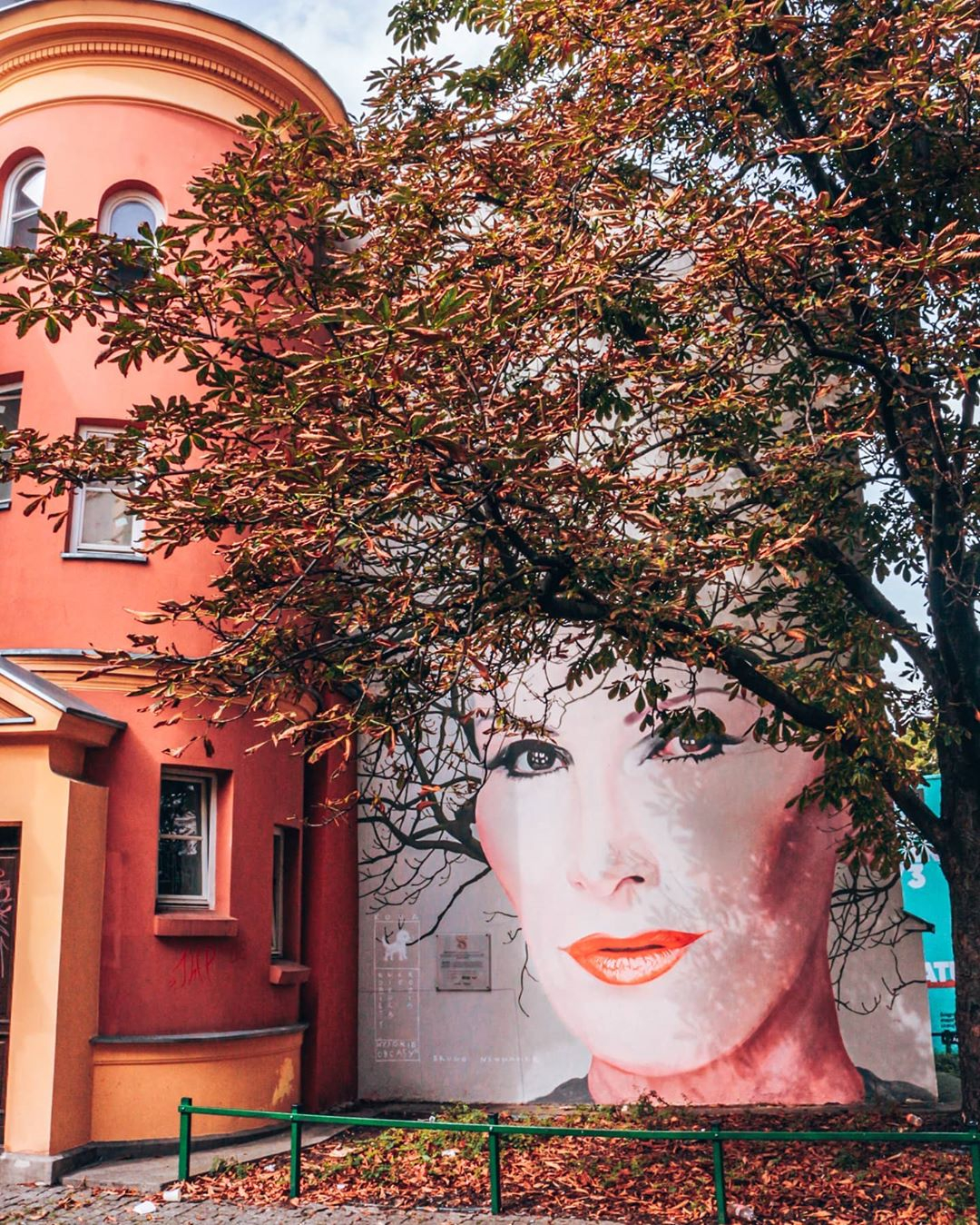 mural kora jesień2