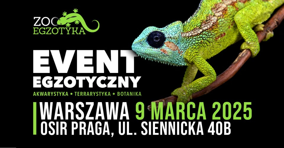 zooegzoteryka