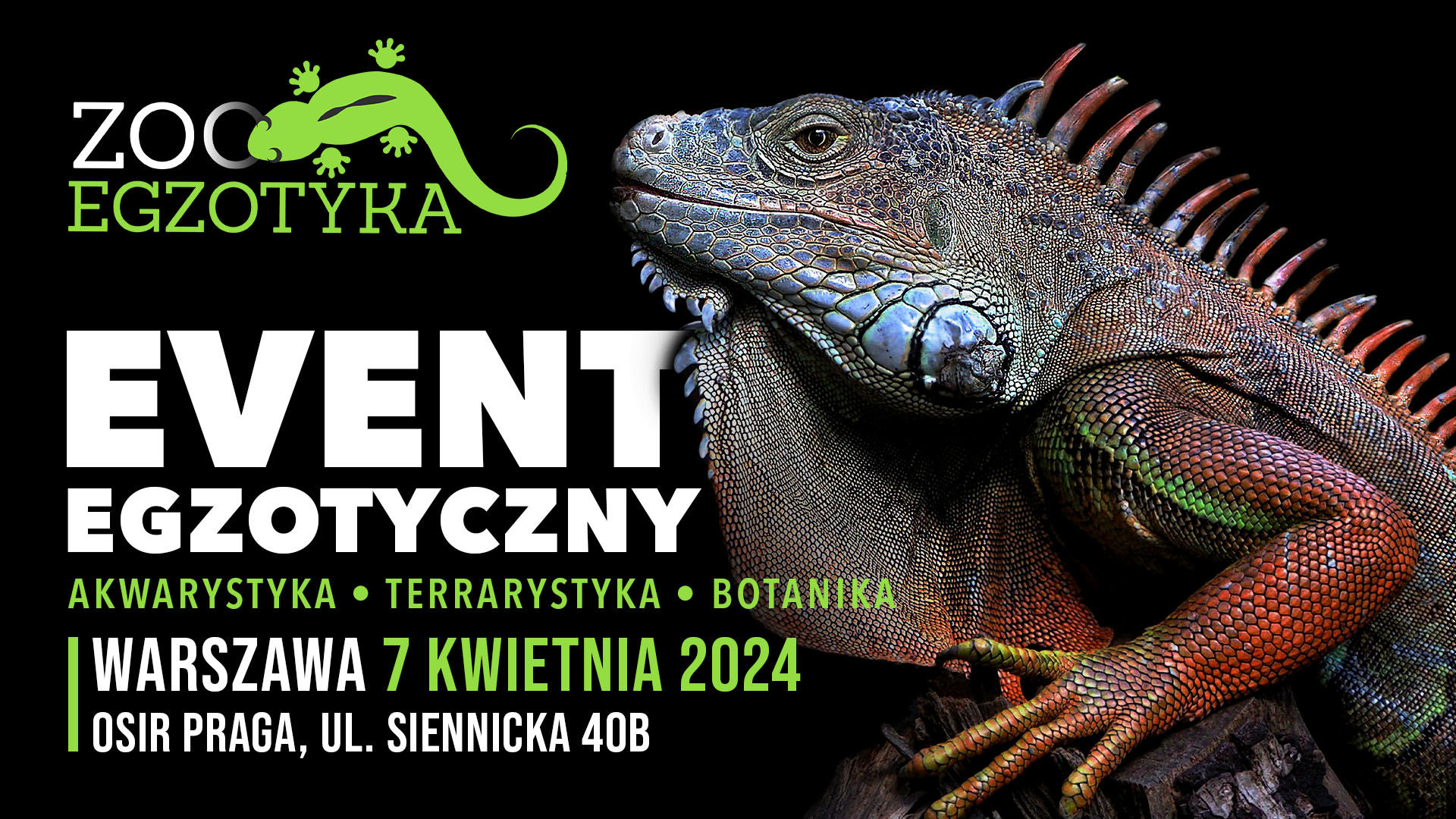 ZooEgzotyka