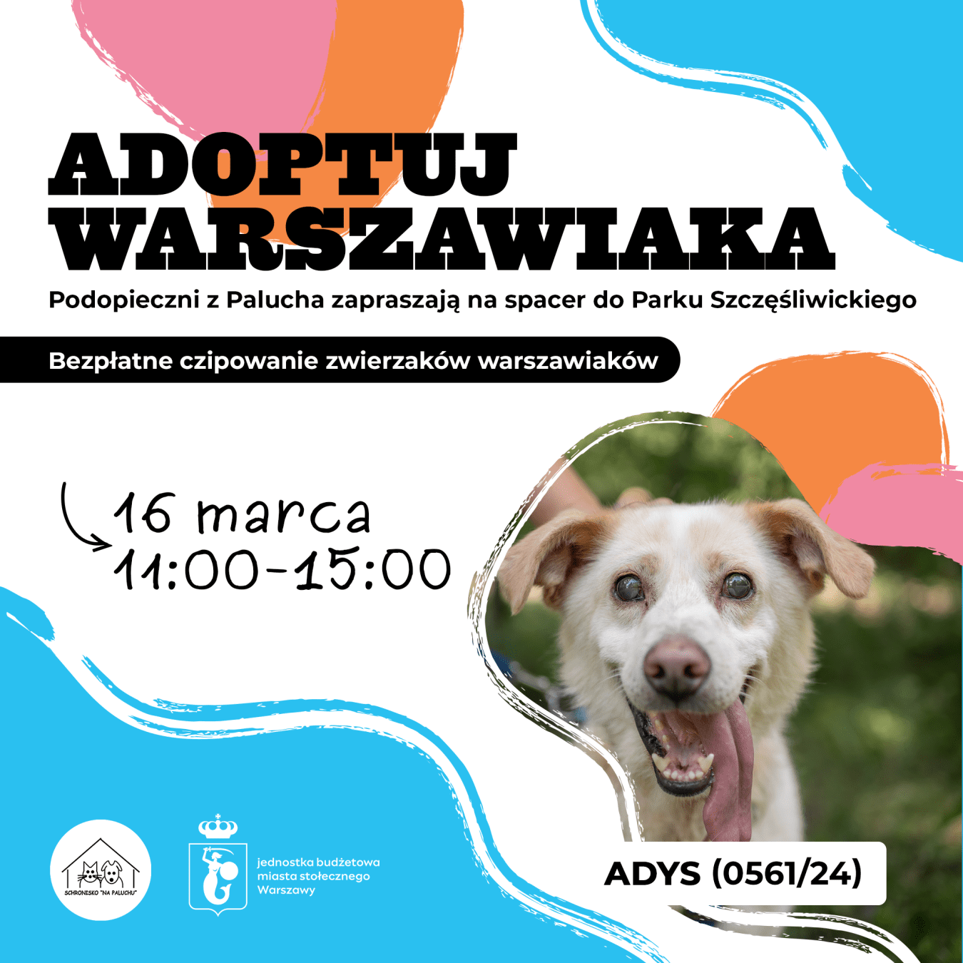 adoptuj warszawiaka