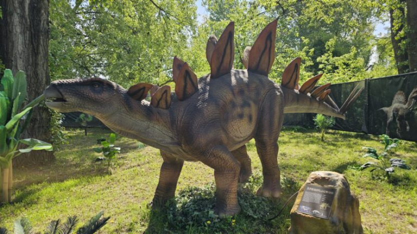 Dinoworld5