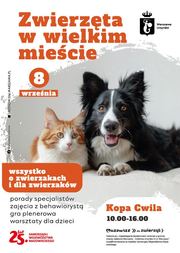 piknik rodzinny