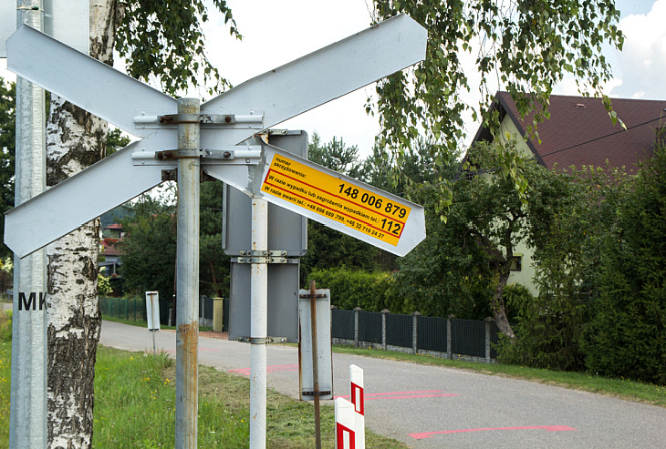 Zolta Naklejka 06