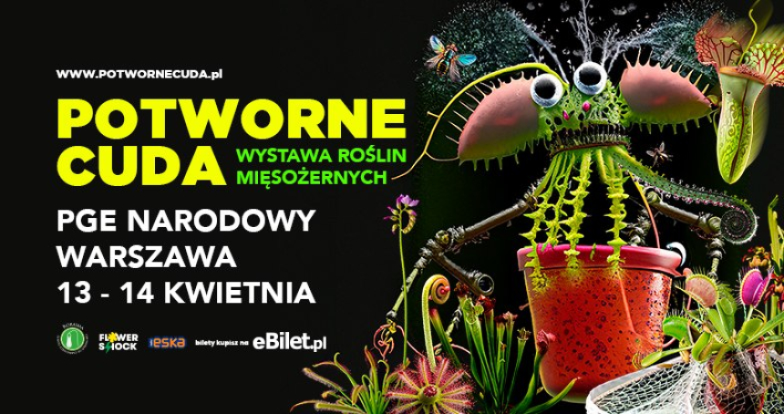 Potworne cuda