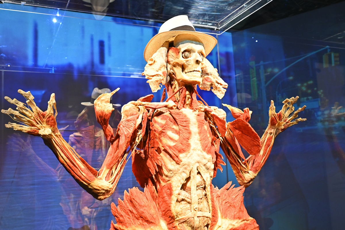body world2