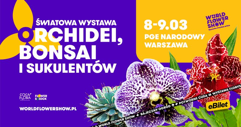 wystawa orchidei i bonsai