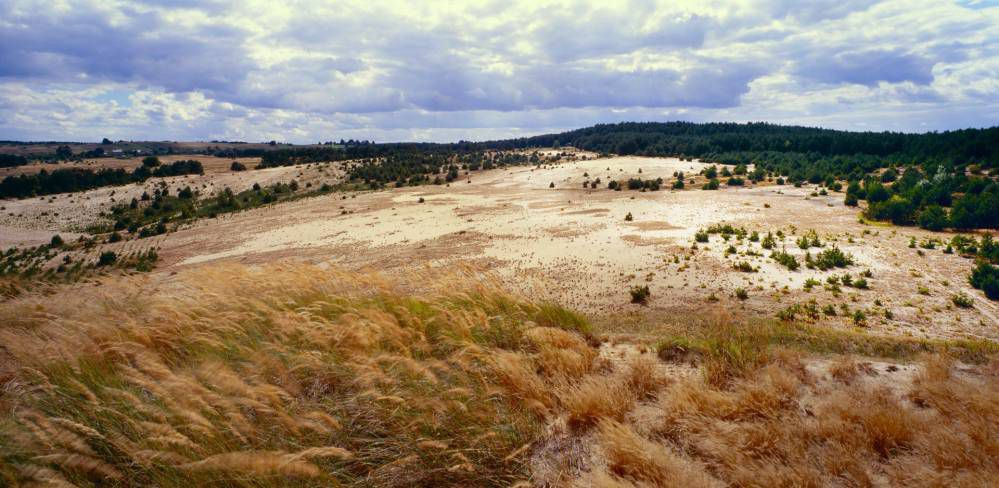 pustynia siedlecka www.slaskie travel
