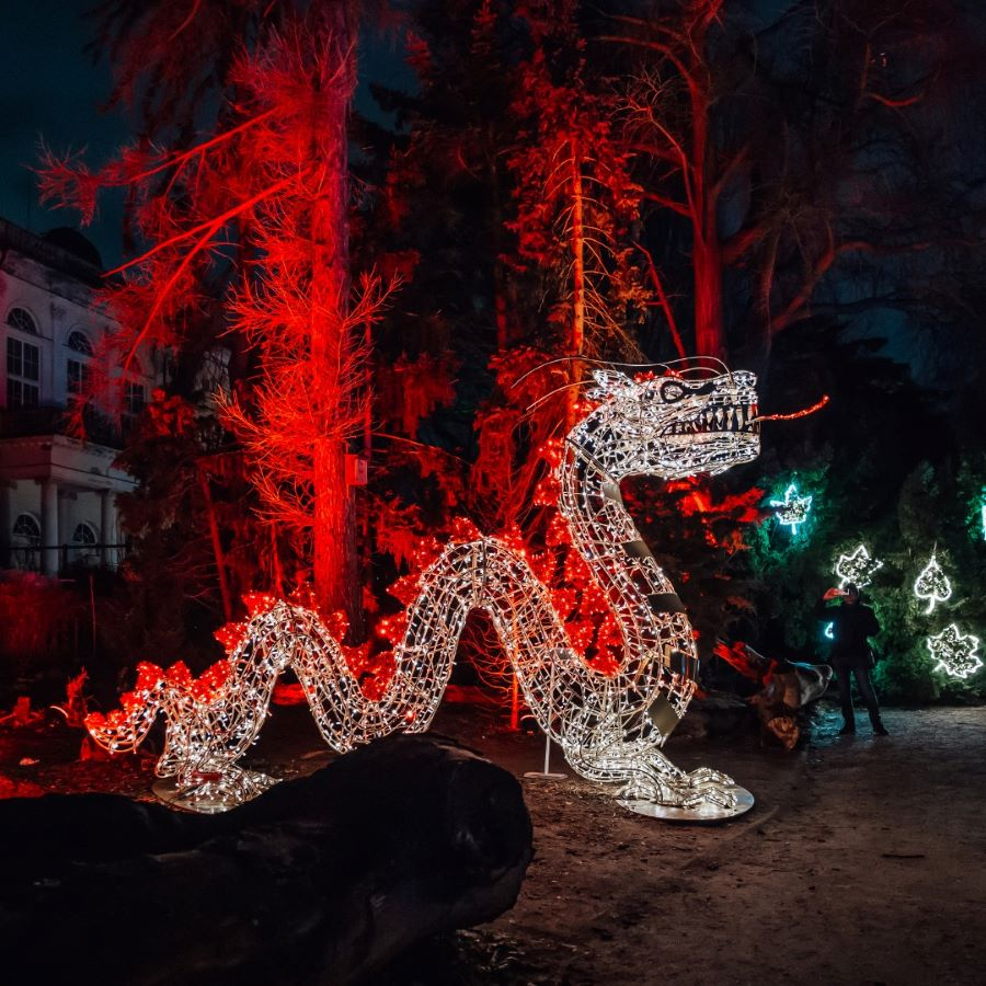 magiczny botaniczny 7