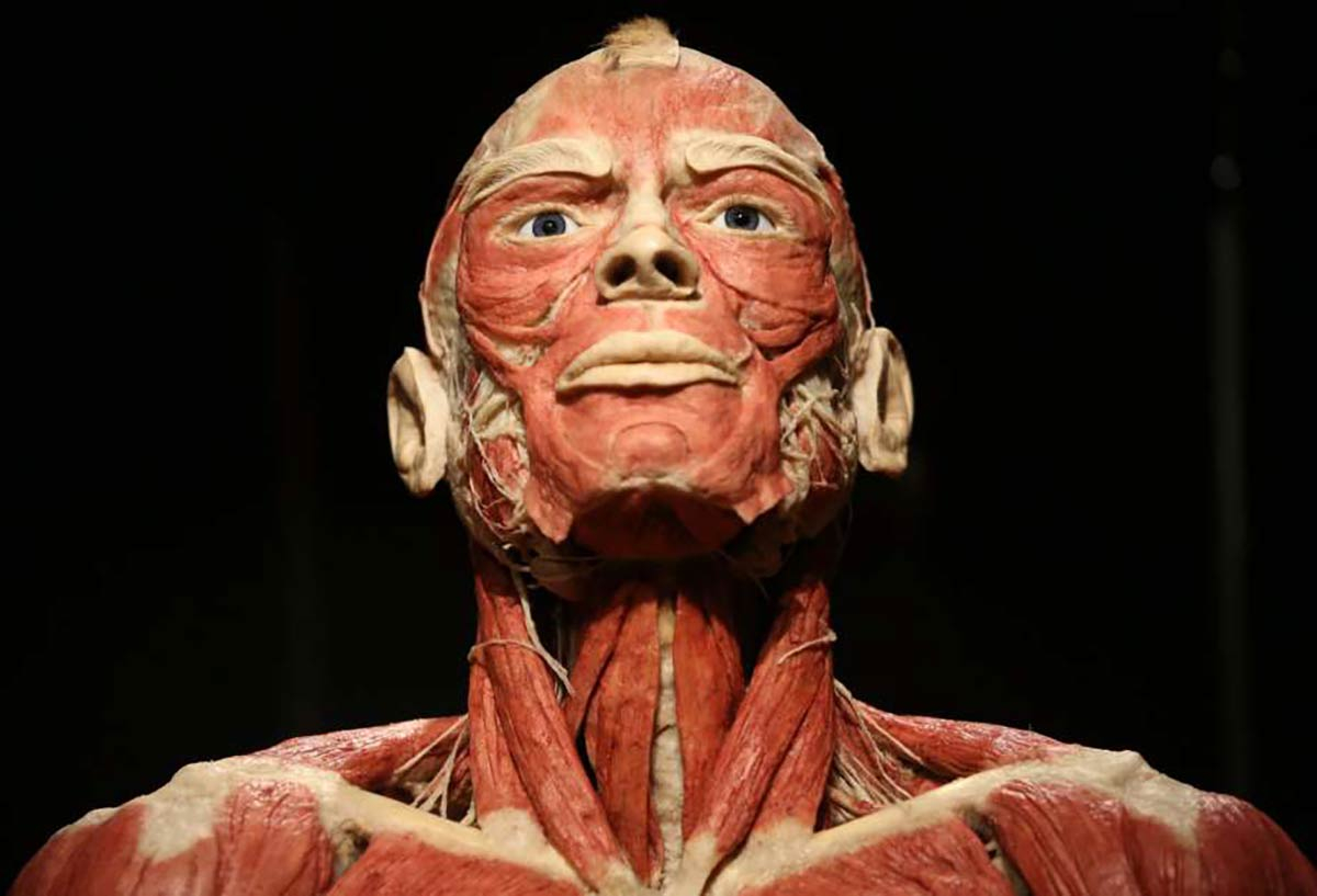 body3