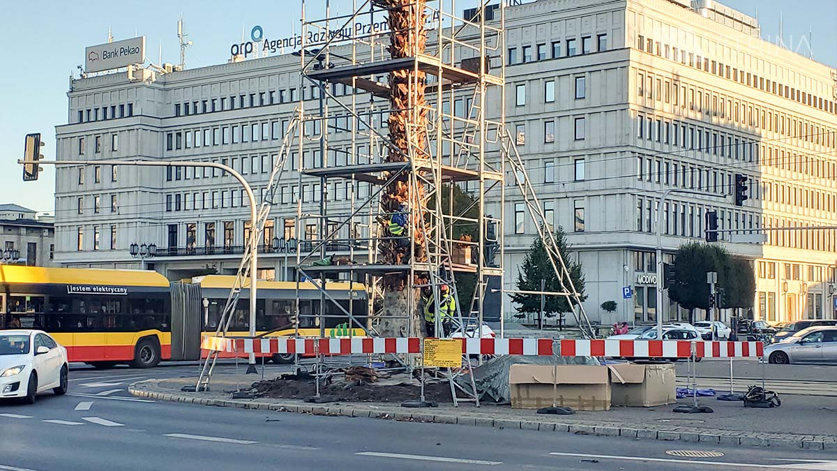 Пальма в Варшаве - Pozdrowienia z Alej Jerozolimskich