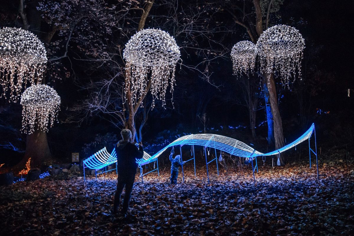 Magiczny botaniczny2