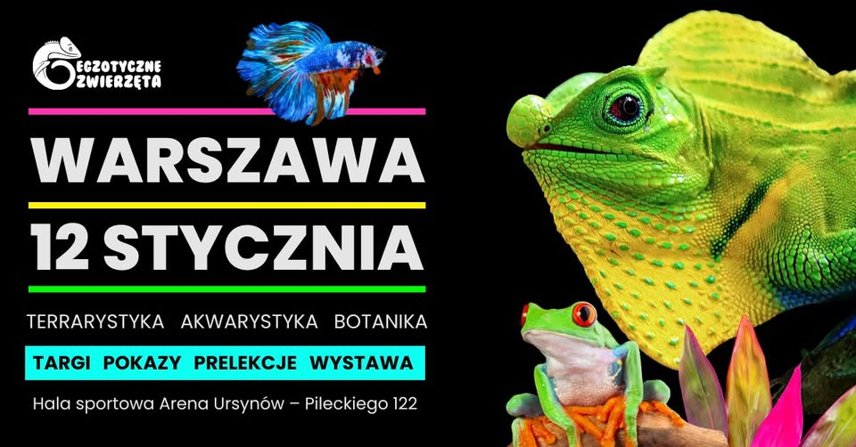 zwierzeta egzotyczne