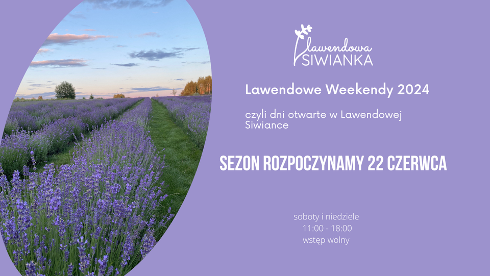 Lawendowa Siwianka