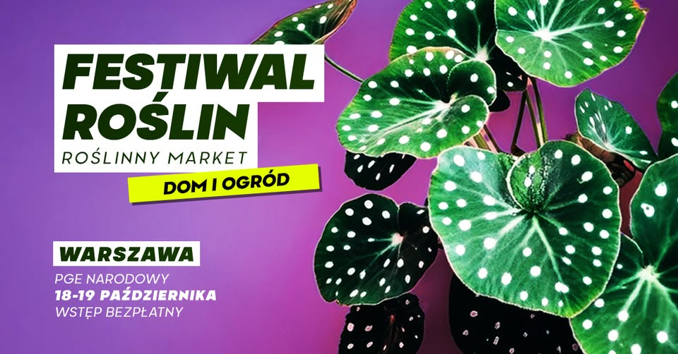 festiwal roslin