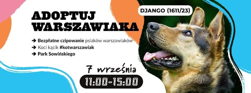adoptuj warszawiaka